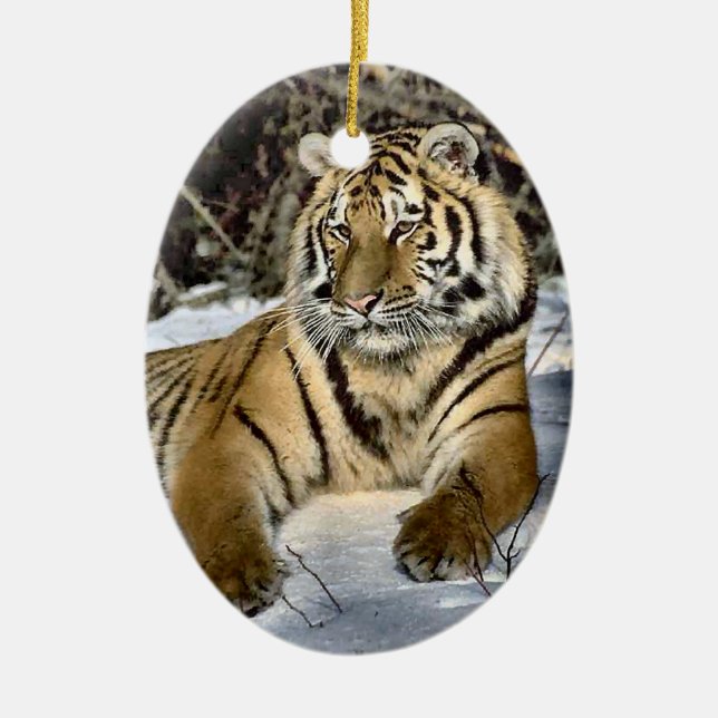 Wild Tiger Art Christmas Ornament (Front)