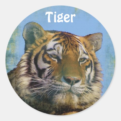 Wild Tiger Big Cat Wildlife Stickers