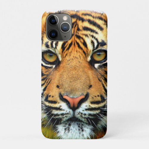 Wild Tiger Face iPhone 11 Pro Case