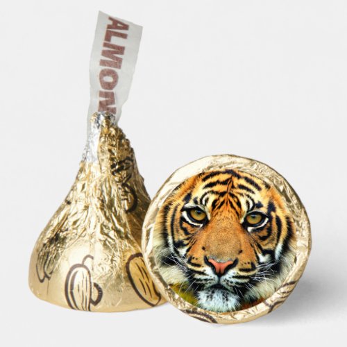 Wild Tiger hershey kisses Hersheys Kisses