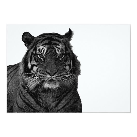 Wild Tiger in Black and White Card