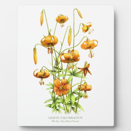 Wild Tiger Lilies Plaque