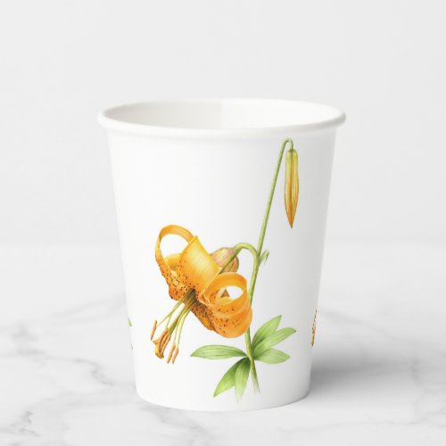Wild Tiger Lily Flower Botanical Art Paper Cups