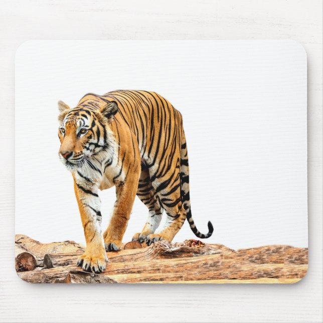 Wild Tiger on a Log Mouse Pad (Front)