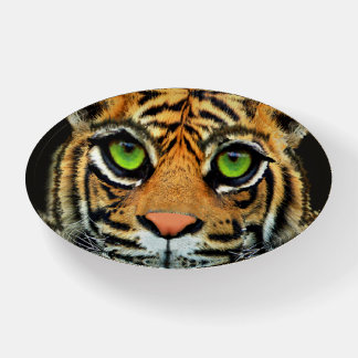 Wild Tiger  Paperweight