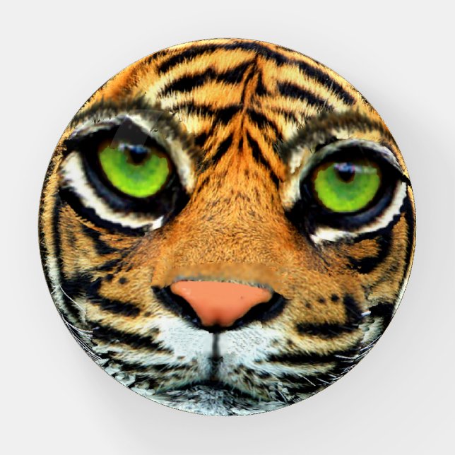 Wild Tiger Paperweight (Front)
