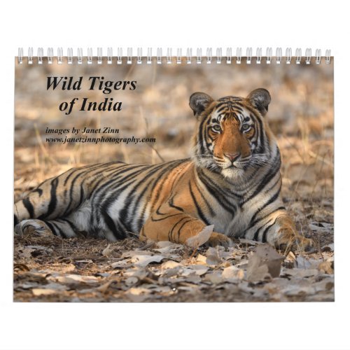 Wild Tigers of India Calendar