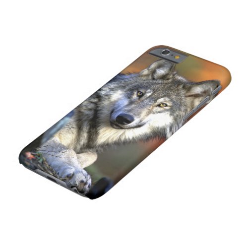 Wild Timber or Gray Wolf Barely There iPhone 6 Case