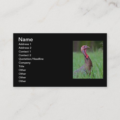 Wild Tom Business Card Templates