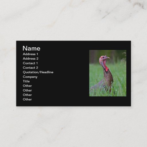 Customizable Wild Tom Business Card Templates