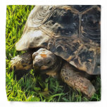 Wild Tortoise In Grass Meadow Wildlife Art Bandana
