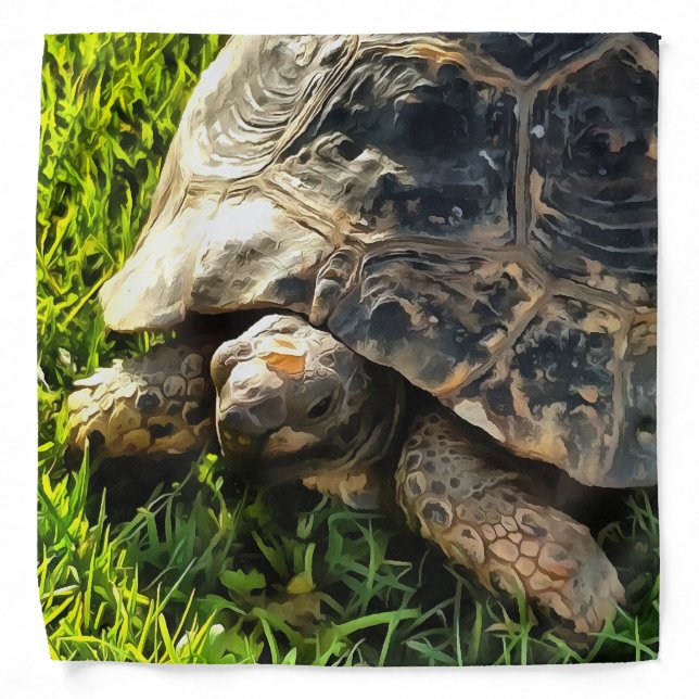 Wild Tortoise In Grass Meadow Wildlife Art Bandana (Front)