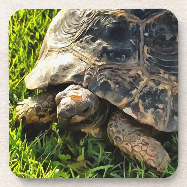 Wild Tortoise In Grass Meadow Wildlife Art Beverage Coaster (Front)