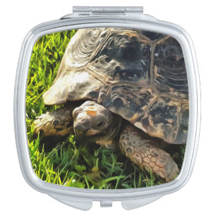 Wild Tortoise In Grass Meadow Wildlife Art Compact Mirror