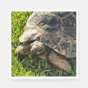 Wild Tortoise In Grass Meadow Wildlife Art Napkins