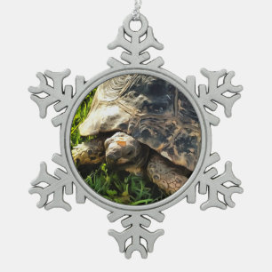 Wild Tortoise In Grass Meadow Wildlife Art Snowflake Pewter Christmas Ornament