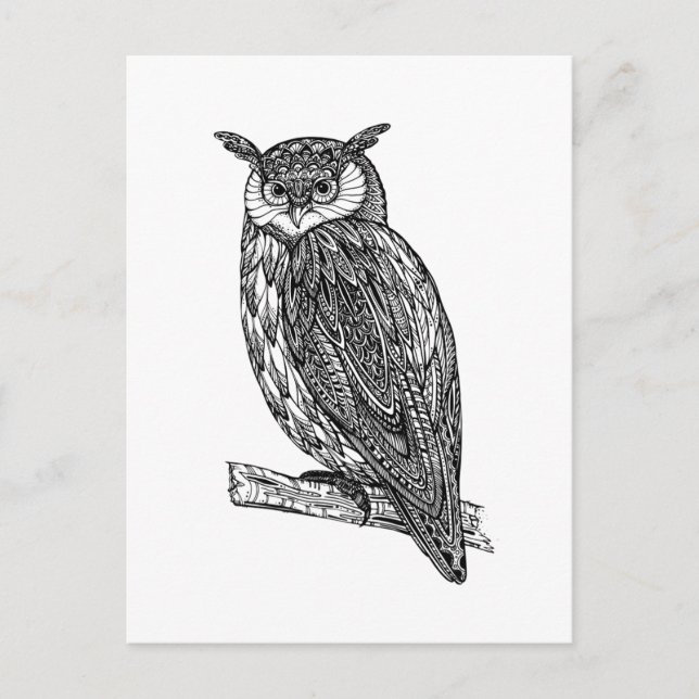 Wild Totem Animal Owl Doodle Postcard (Front)