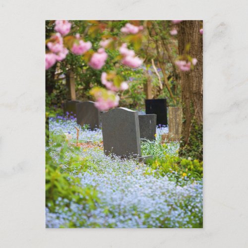 Wild tranquility beautiful churchyard Hopwas UK Postcard