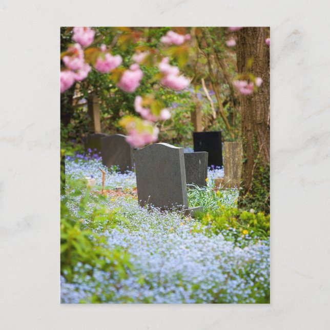 Wild tranquility, beautiful churchyard. Hopwas UK Postcard (Front)