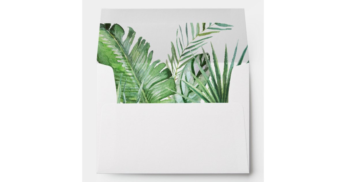 Tropical envelopes