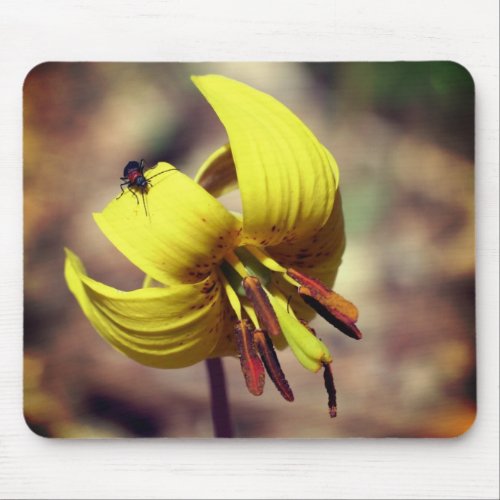 Wild Trout Lily And Friend Flower  Mouse Pad