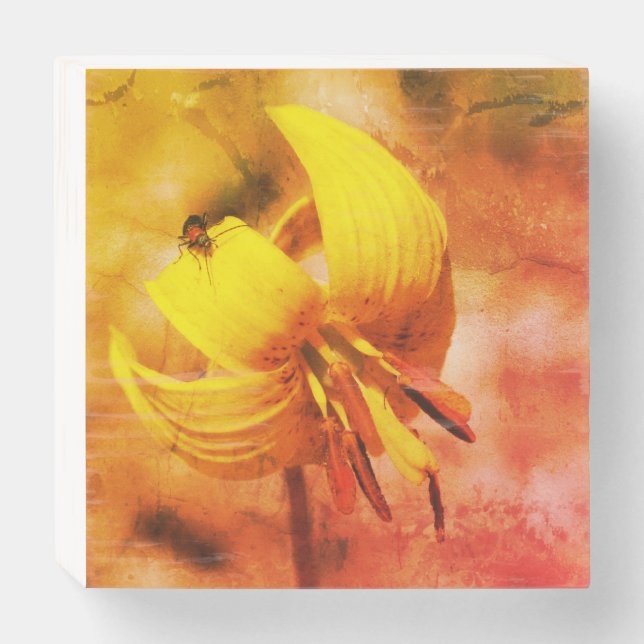 Wild Trout Lily Flower And Insect Distressed Wooden Box Sign (Front Horizontal)