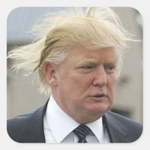 Wild Trump Hair Square Sticker