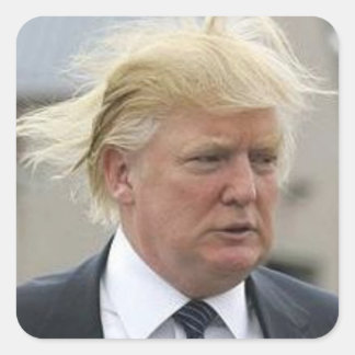 Wild Trump Hair Square Sticker