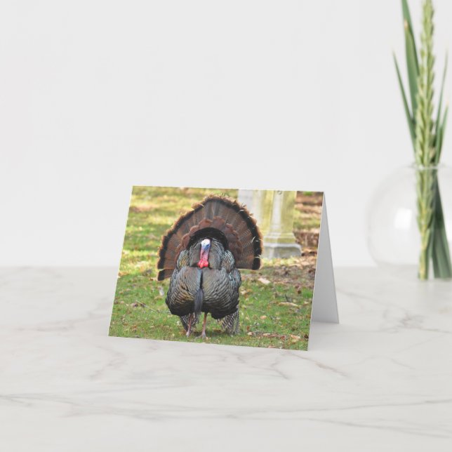 Wild Turkey #1 - Blank Note Card (Front)