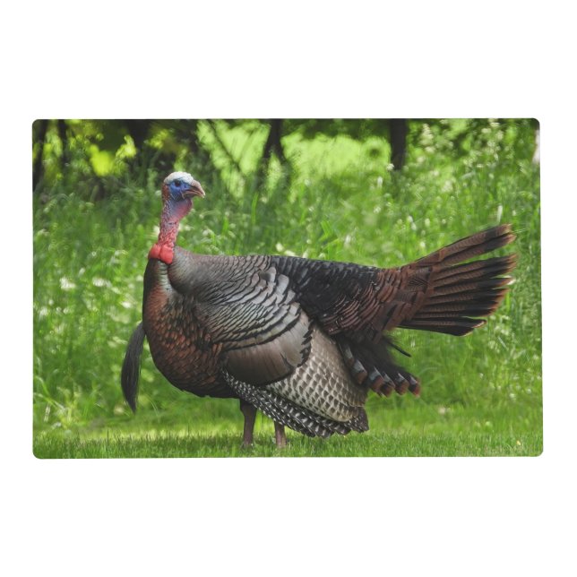 Wild Turkey (2 sides 2 pics)  Placemat (Front)