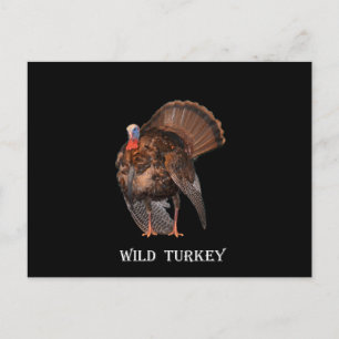 Wild Turkey (Alabama, Massachusetts, Oklahoma) Postcard