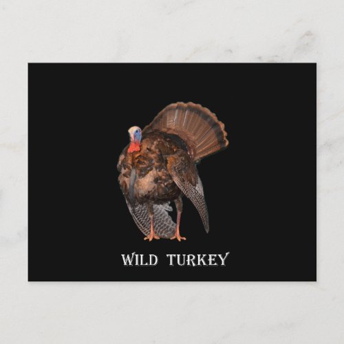 Wild Turkey Alabama Massachusetts Oklahoma Postcard