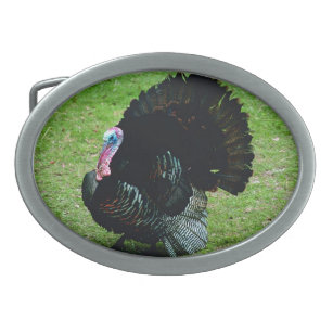 wild turkey belt buckle