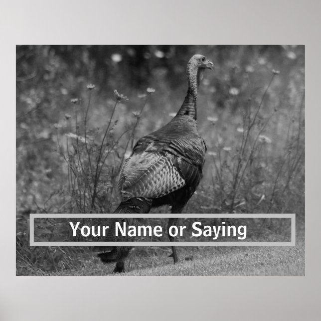 Wild Turkey B&W photo Poster (Front)
