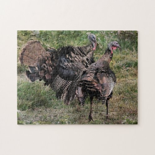 Wild Turkey Before The Fight Jigsaw Puzzle