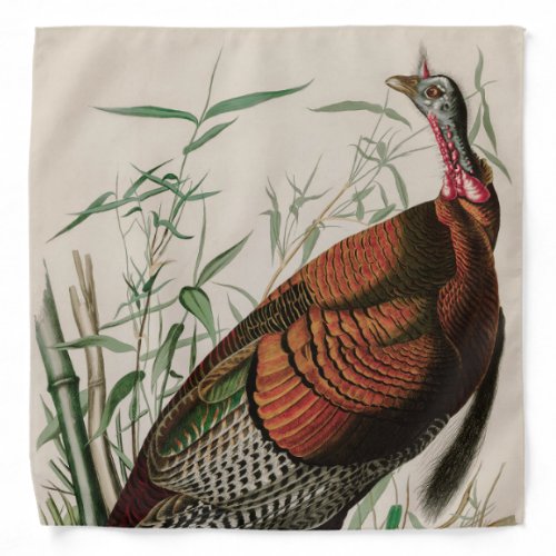 Wild Turkey Birds of America Audubon Print Bandana