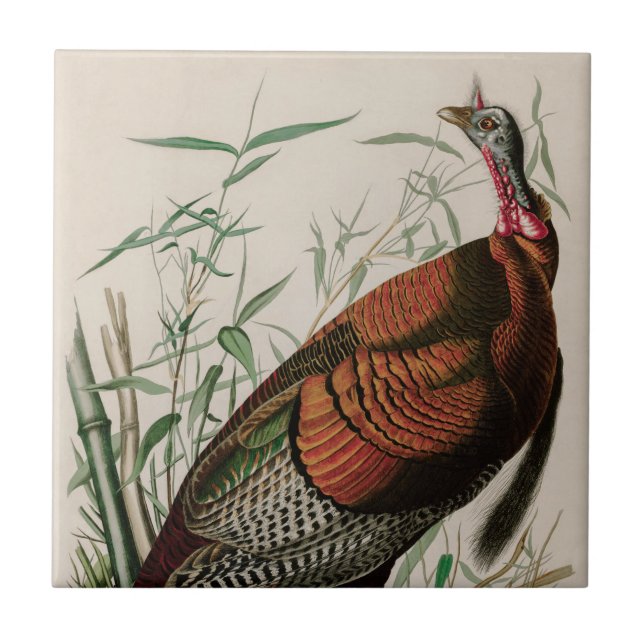 Wild Turkey Birds of America Audubon Print Ceramic Tile (Front)