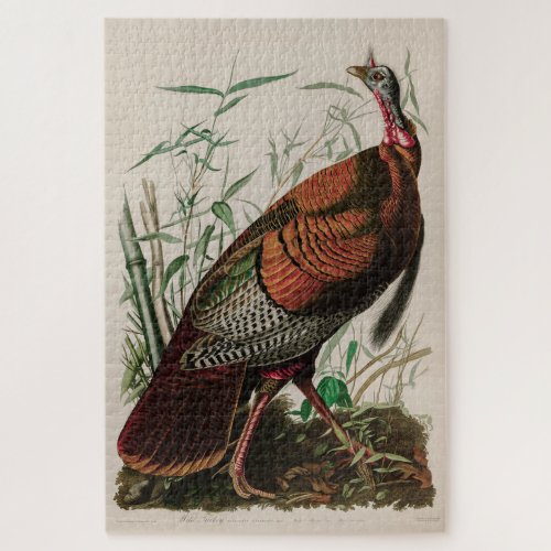 Wild Turkey Birds of America Audubon Print Jigsaw Puzzle