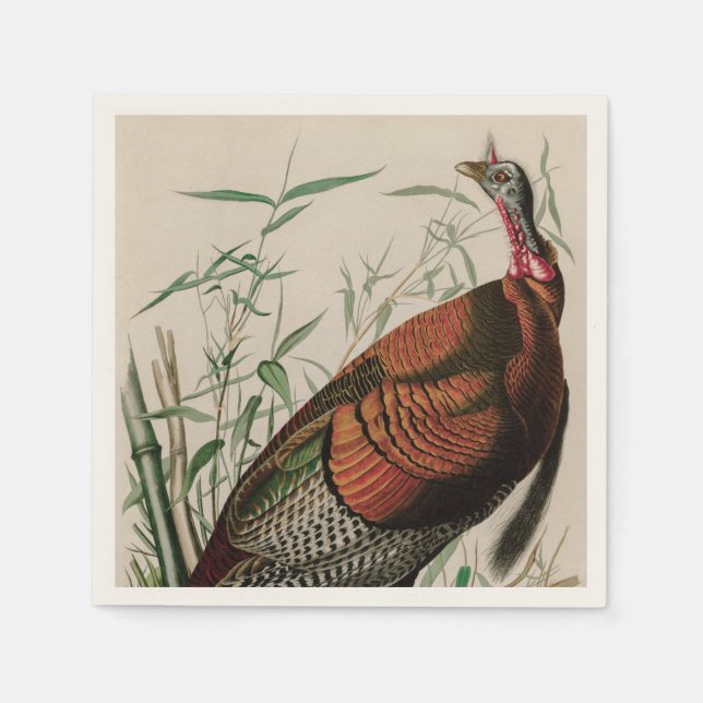Wild Turkey Birds of America Audubon Print Napkins (Front)