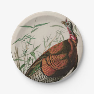 Wild Turkey Birds of America Audubon Print Paper Plates