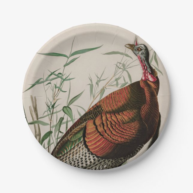 Wild Turkey Birds of America Audubon Print Paper Plates (Front)