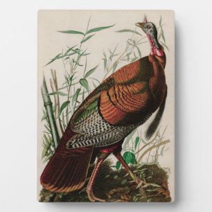 Wild Turkey Birds of America Audubon Print Plaque