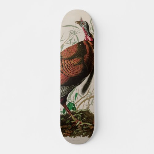 Wild Turkey Birds of America Audubon Print Skateboard