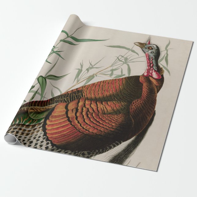 Wild Turkey Birds of America Audubon Print Wrapping Paper (Unrolled)