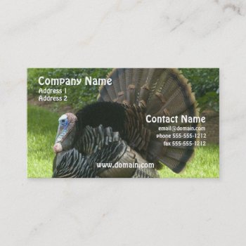 Wild Turkey Business Card by WildlifeAnimals at Zazzle
