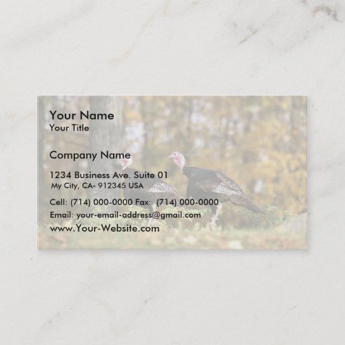 Wild turkey business card templates