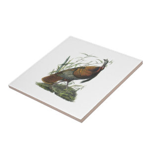Wild Turkey by Audubon Ceramic Tile