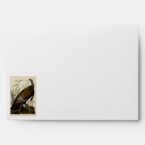 Wild Turkey by John Audubon Envelope