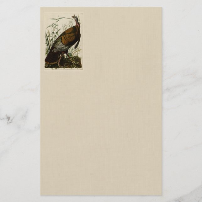 Wild Turkey by John Audubon Stationery (Front)