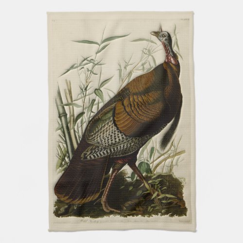 Wild Turkey by John Audubon Towel